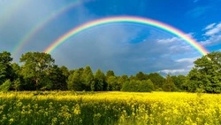 Народные приметы на 14 июня 2025 года — что нельзя делать в Устинов день