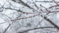 Церковный праздник 22 февраля 2024 года: что нельзя делать в этот день 