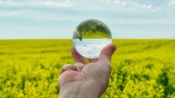 15 апреля 2024 года: какой сегодня праздник