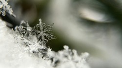 Сильный снег и ветер до 23 м/с ожидаются на Сахалине 26 февраля
