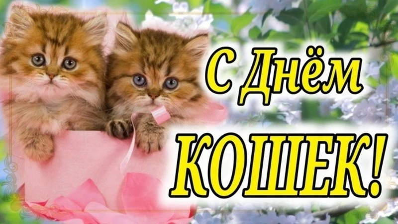 Открытки на Всемирный день кошек 2024 