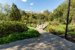 В десять раз выросло количество посетителей ботанического сада в Южно-Сахалинске