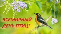 Открытки с Международным днем птиц 2025