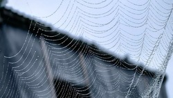 Умеренный дождь пройдет на Сахалине 10 июля
