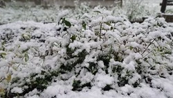 Снег с дождем и -12 градусов: прогноз погоды в Сахалинской области на 7 ноября