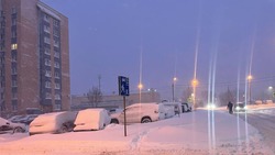 Метель ночью и снег: прогноз погоды на Сахалине и Курилах на 10 января