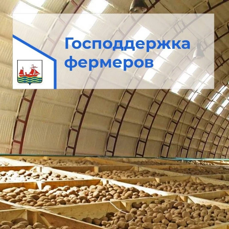 Господдержка поможет поронайскому фермеру построить овощехранилище  