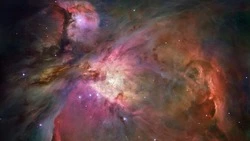 Гороскоп на 26 марта 2025 года: Рыбы проявят себя, Близнецы запутаются