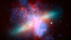Гороскоп на неделю с 23 по 29 декабря 2024: успех в спорте, повышение дохода и взрыв креативности