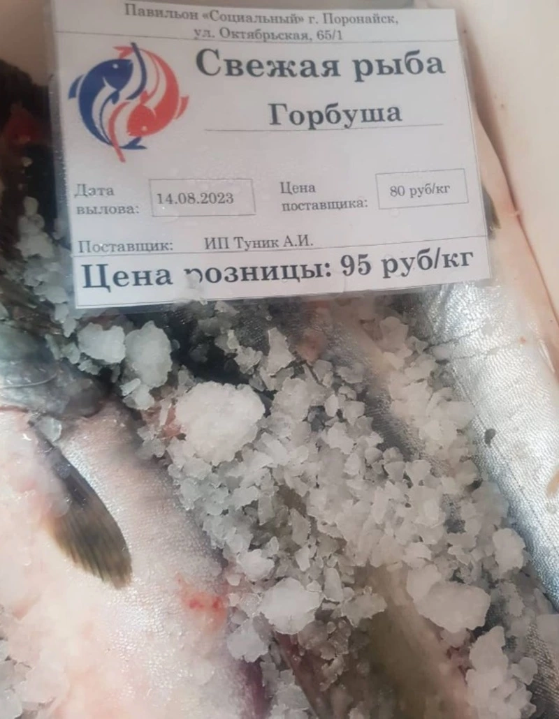 Свежая рыба сегодня в Поронайске