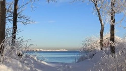 Снег и северный ветер ожидаются в Сахалинской области 7 марта