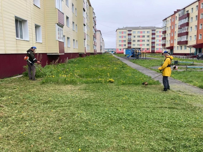 Работники управляющих компаний начали косить траву на придомовых территориях