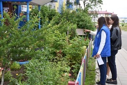 За звание «Лучшего двора» борются 11 дворовых территорий Поронайского района