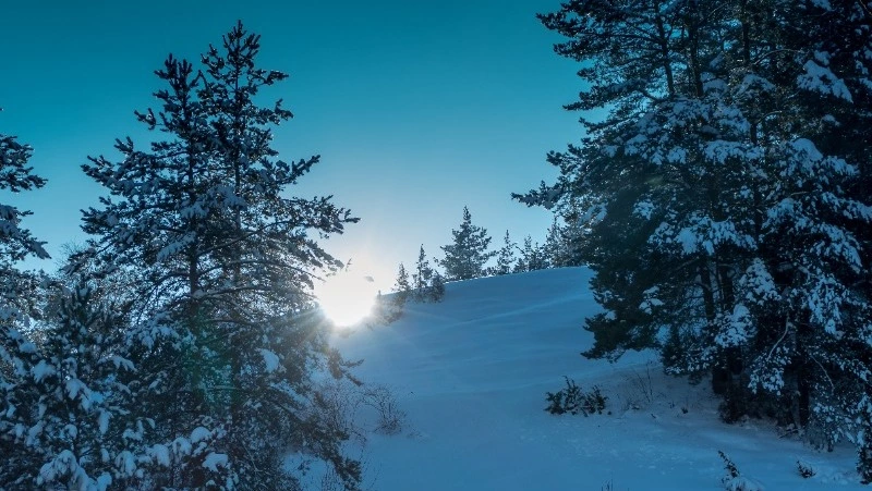 Народные приметы на 6 января 2025 года — что нельзя делать в Сочельник