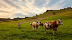 Народные приметы на 27 марта 2025 года — что нельзя делать в Венедиктов день