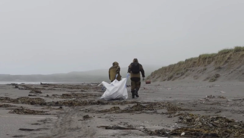 Волонтерство активно развивается в Сахалинской области