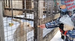 Большое сердце маленьких героев 