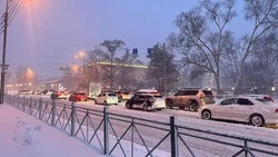 Сильный снег, ветер и морозы: погода на Сахалине и Курилах с 11 по 17 января