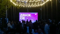 Кинотеатр под открытым небом открыли на территории «Городской симфонии» в Южно-Сахалинске 