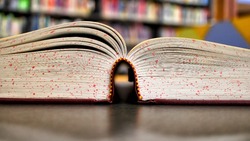 Вы редкий эрудит, если сможете набрать 8/8 баллов — ТЕСТ на общие знания