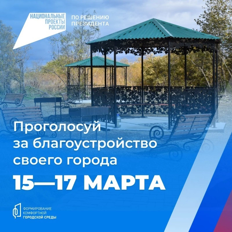 Голосование за благоустройства своего города