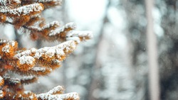 Прогноз погоды в Сахалинской области на 13 февраля: ветер, снег и мороз до -28 градусов