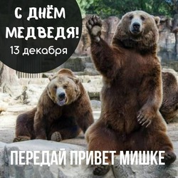Картинки с Днем медведя 2024 