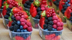 ТОП-5 самых полезных ягод: для чего их надо есть