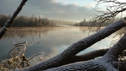 Снег и холодный ветер: прогноз погоды в Сахалинской области на 6 ноября