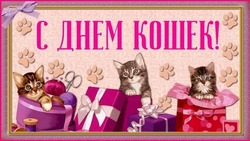 Красивые открытки с Днем кошек 2025
