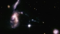 Гороскоп на  неделю с 17 по 23 марта 2025: Раков ждут испытания, Львов — приятные встречи