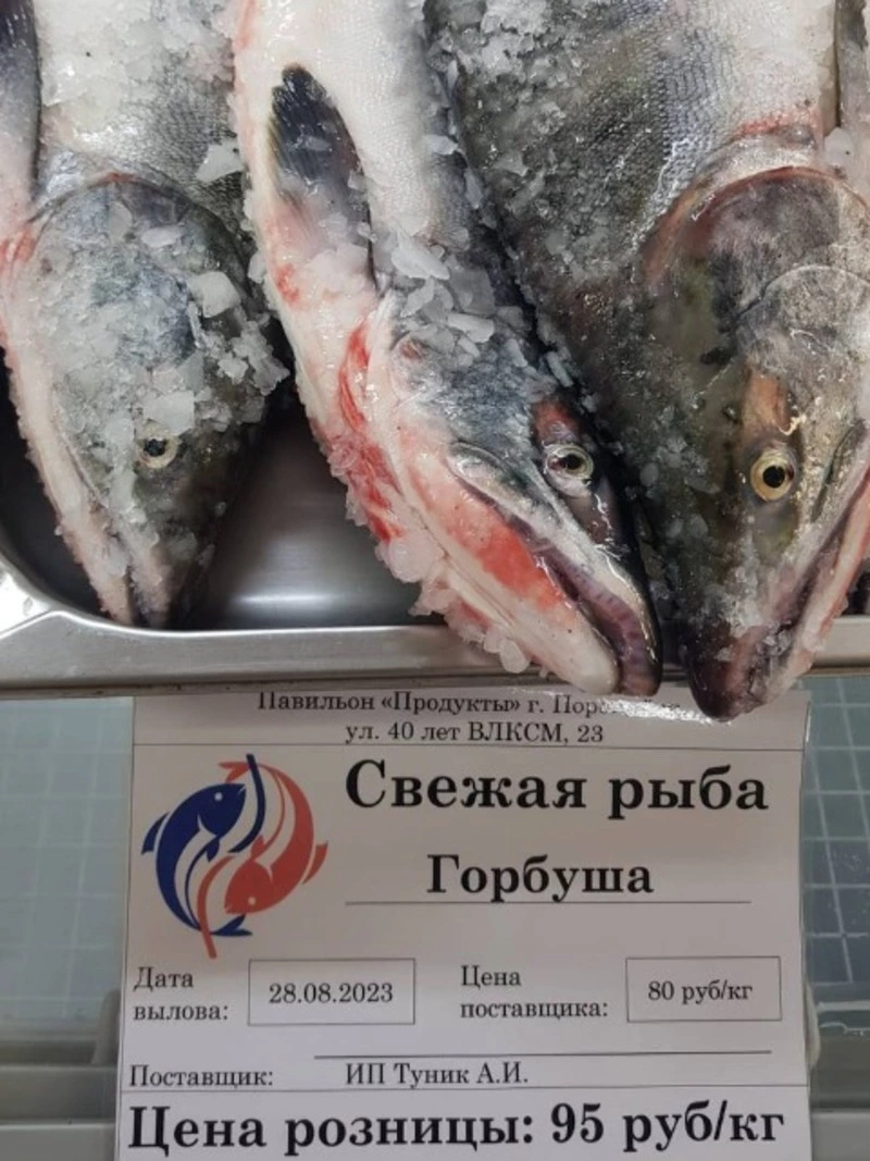 Свежая рыба сегодня в Поронайске