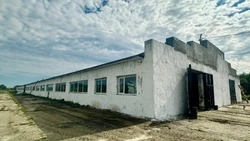 Островной сельхозкооператив возводит овощехранилище благодаря господдержке