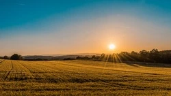 День летнего солнцестояния-2024: приметы и традиции