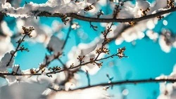 Церковный праздник 14 февраля 2024 года: что нельзя делать в этот день 