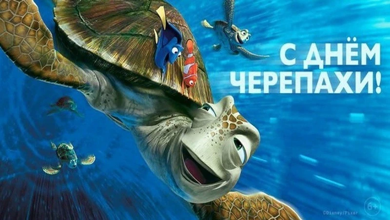 Всемирный день черепахи 2025: яркие и красивые картинки