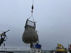 Улов и доступность: промысел наваги в Поронайском районе