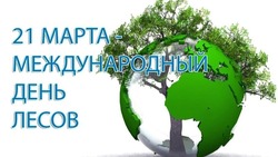 С Международным днем лесов 2025 — красивые картинки и открытки 