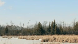Снег и до -10 градусов: погода в Сахалинской области 29 ноября