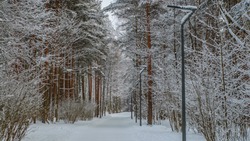 Снежная и ветреная погода ожидает жителей Сахалина 24 декабря
