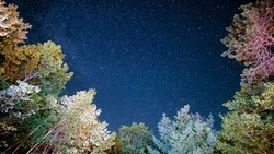 Практичность Тельцов и финансы Дев: гороскоп на 21 октября 2024 года