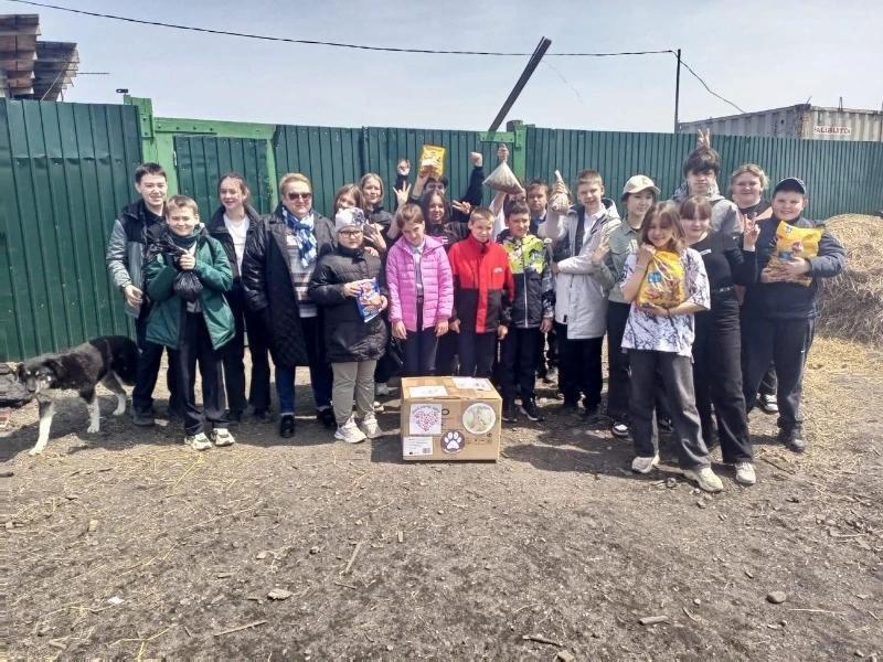 Приют для хвостатых