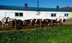 Сахалин — в пятерке лидеров по сельхозпроизводству на Дальнем Востоке