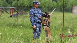 День работников уголовно-исполнительной системы РФ–2025: история праздника, как поздравить