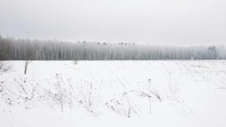 Сильный снег и до -15 градусов ожидается в Сахалинской области 27 декабря