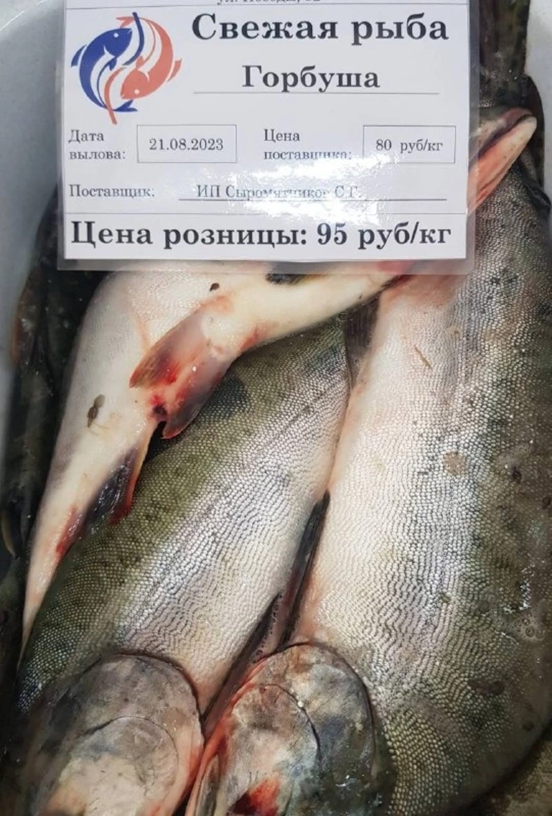 Свежая рыба сегодня в Поронайске