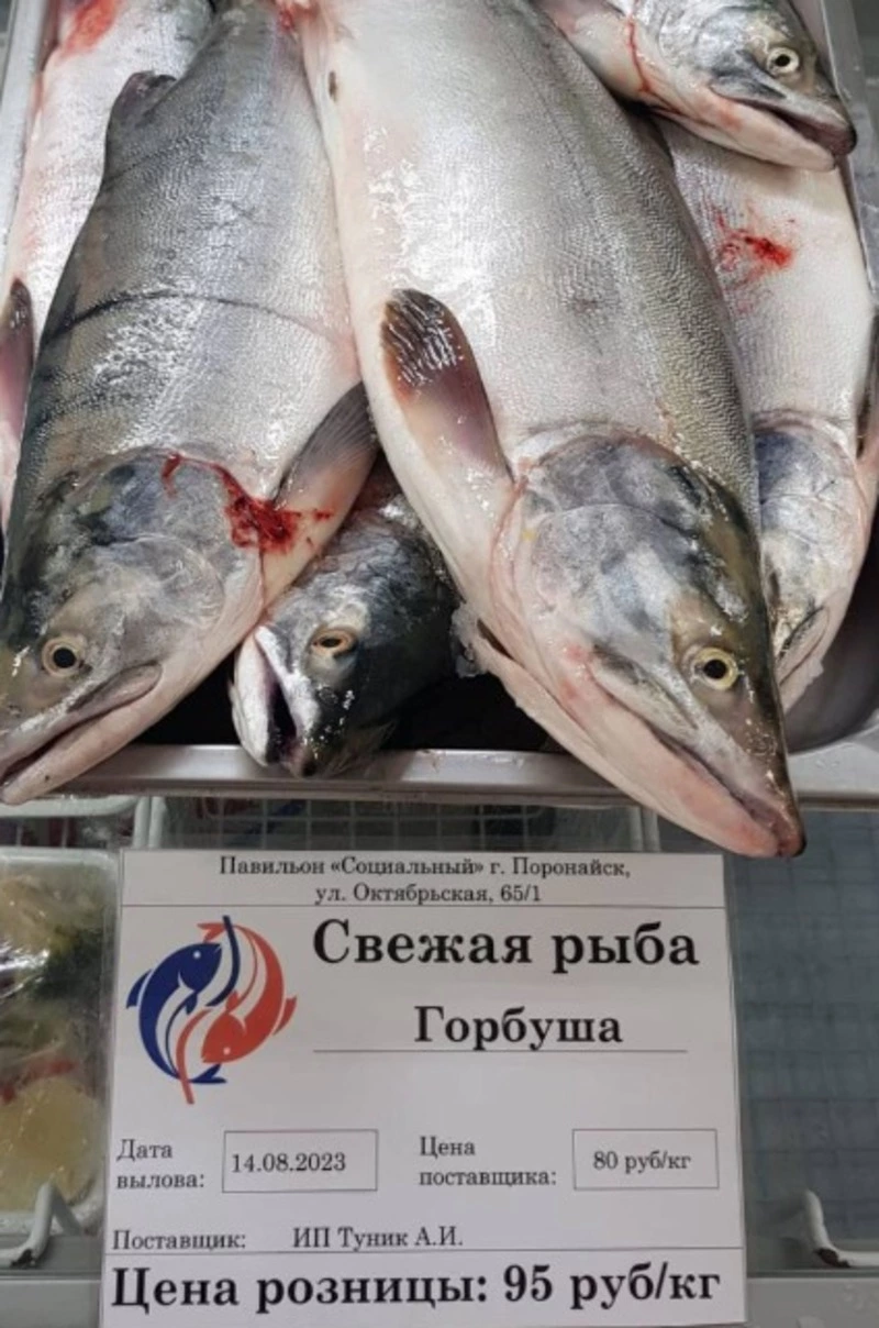 Свежая рыба сегодня в Поронайске