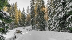 Какие народные праздники проходят в феврале 2025 года