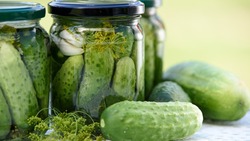 Соленые огурцы холодным способом — рецепт, как бабушка научила
