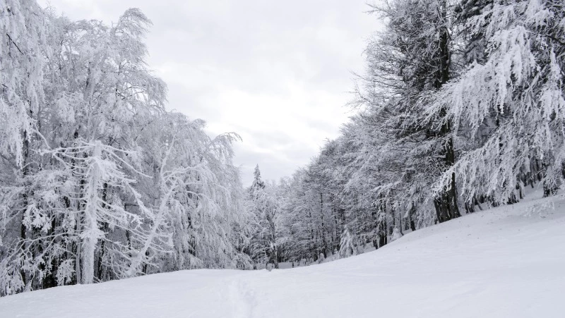 Народные приметы на 19 декабря 2024 года — что нельзя делать в день Николы Зимнего